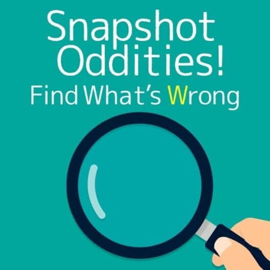 Обложка Snapshot Oddities! Find What's Wrong