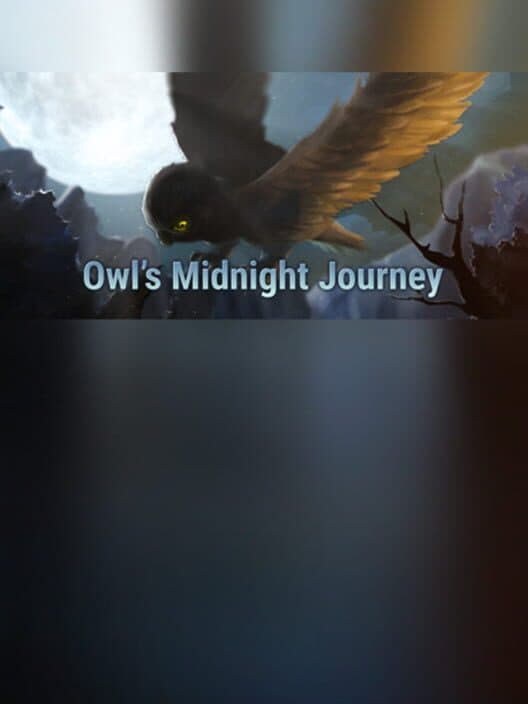 Обложка Owl's Midnight Journey