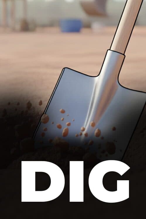 Обложка Dig