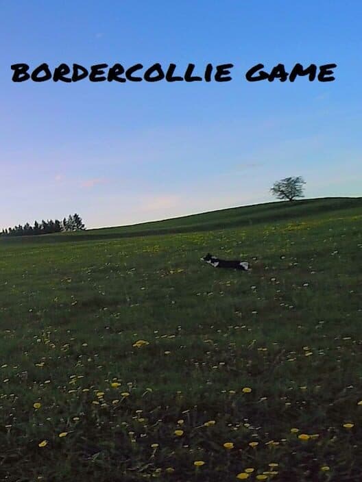 Обложка BorderCollie Game