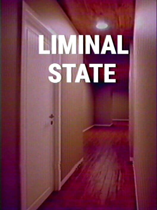 Обложка Liminal State