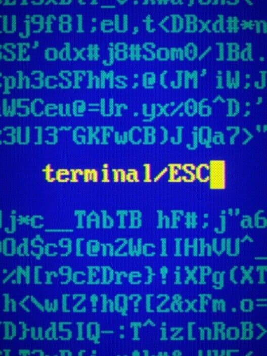 Обложка Terminal ESC