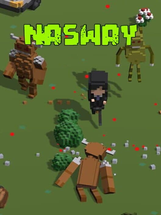 Обложка Nasway