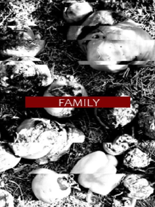 Обложка Family