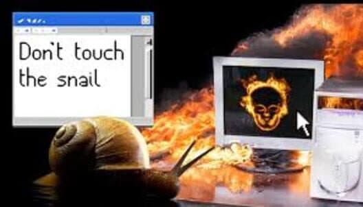 Обложка Don't Touch the Snail