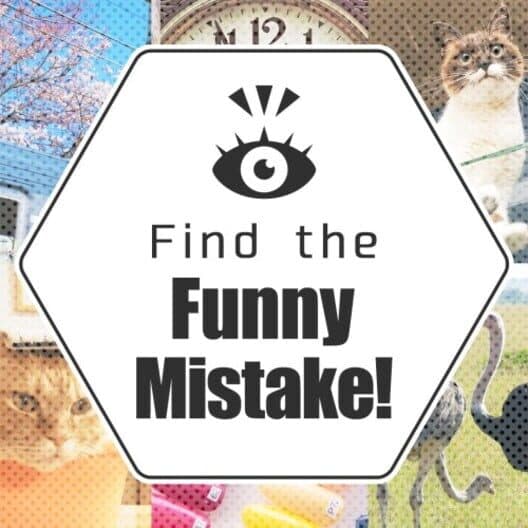 Обложка Find the Funny Mistake!