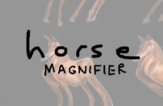 Обложка Horse Magnifier