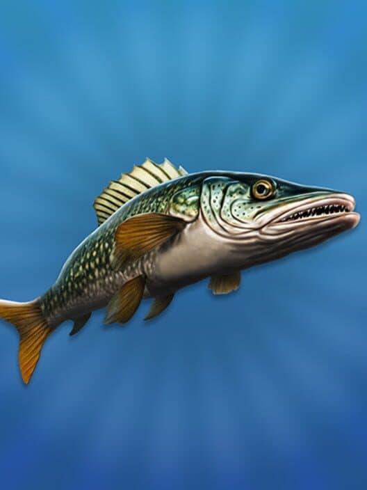 Обложка True Fishing 2