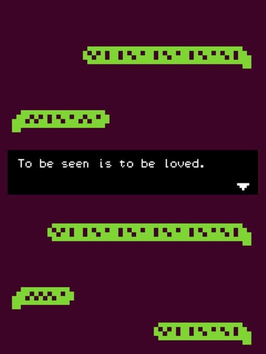 Обложка To Be Seen is To Be Loved
