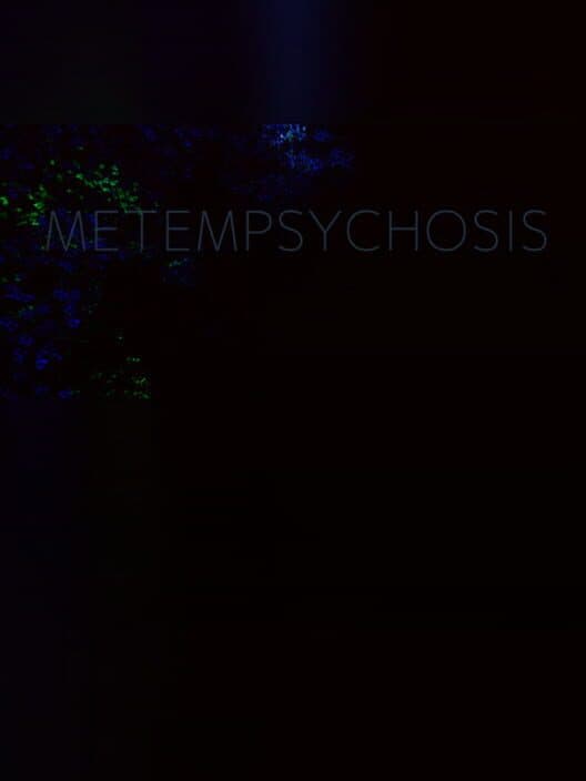 Обложка Metempsychosis