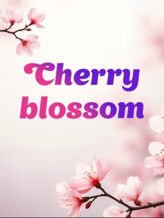Обложка Cherry blossom