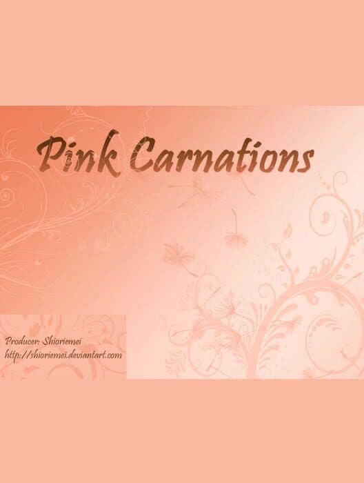 Обложка Pink Carnations