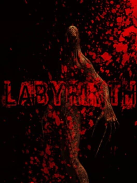 Обложка Labyrinth