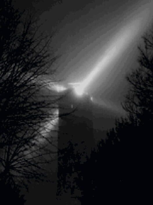 Обложка The Quiet Pelagian