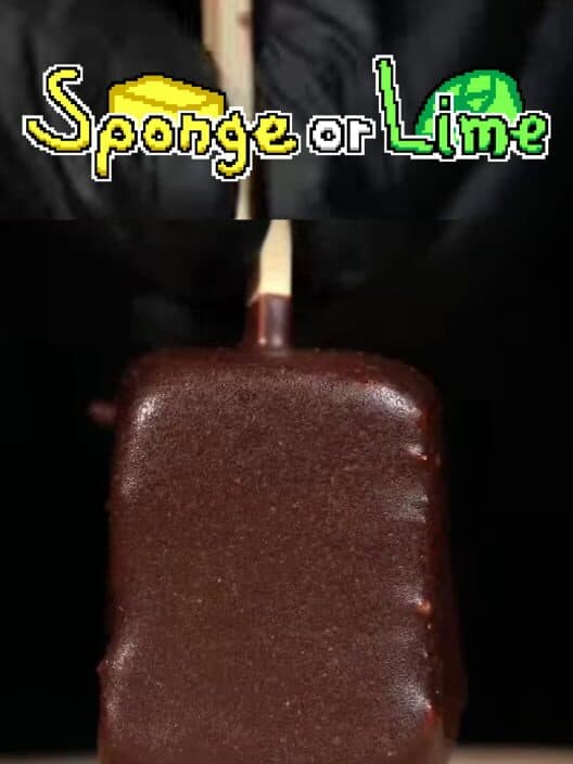 Обложка Sponge or Lime