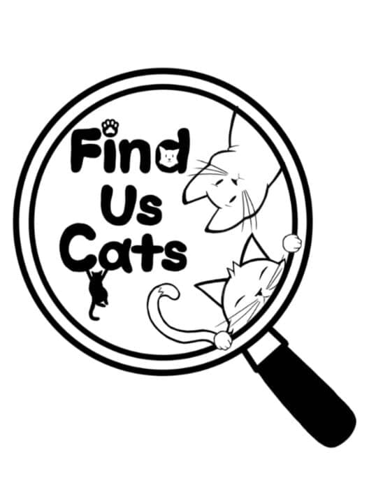 Обложка Find Us Cats