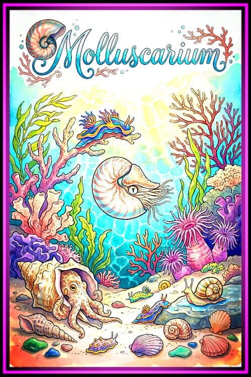 Обложка Molluscarium