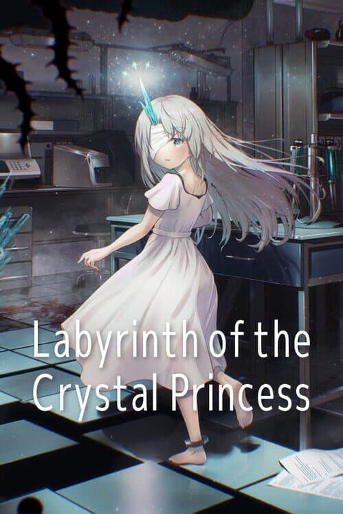 Обложка Labyrinth of the Crystal Princess