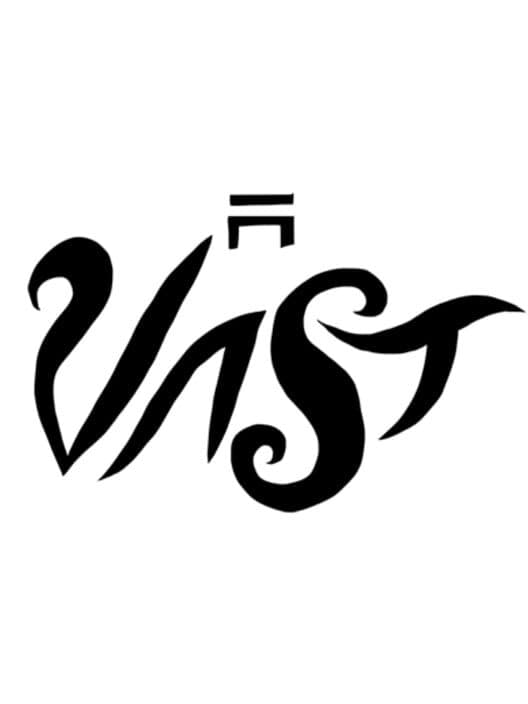 Обложка Vast