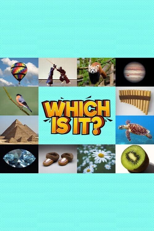 Обложка Which Is It?
