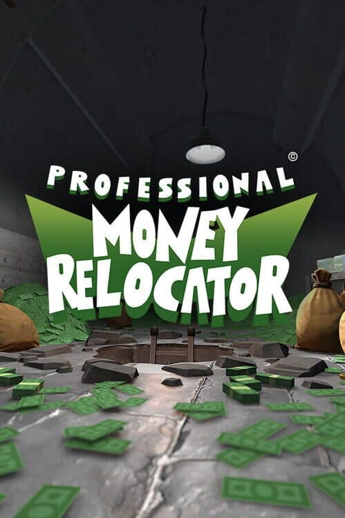 Обложка Professional Money Relocator