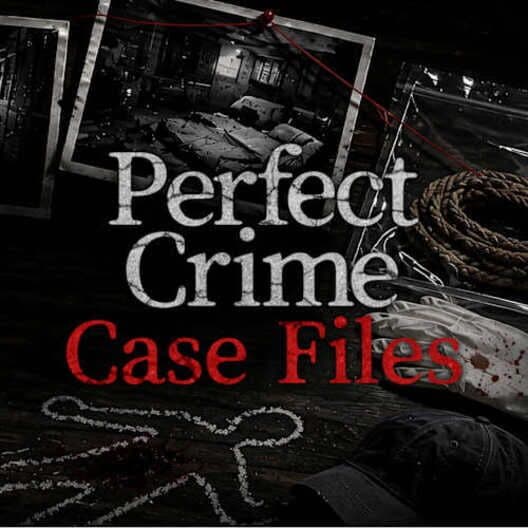 Обложка Perfect Crime Case Files