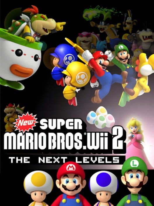Обложка New Super Mario Bros. Wii 2: The Next Levels