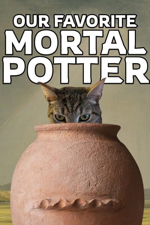 Обложка Our Favorite Mortal Potter