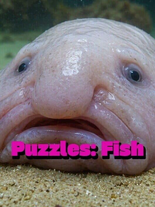 Обложка Puzzles: Fish