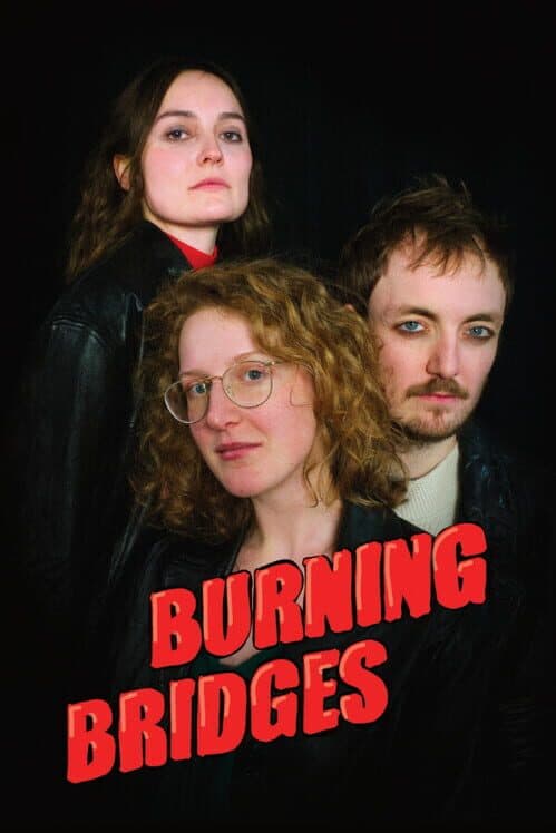 Обложка Burning Bridges