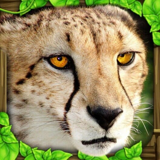 Обложка Cheetah Simulator