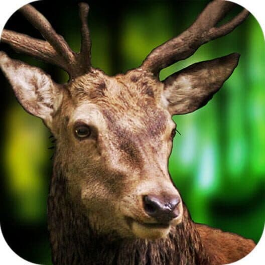 Обложка 3D Deer Sniper Hunting Game 2017