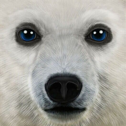 Обложка Ultimate Arctic Simulator