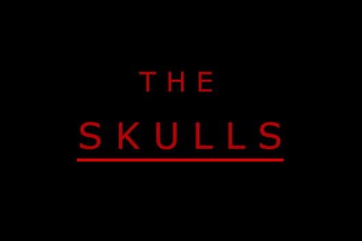Обложка The Skulls