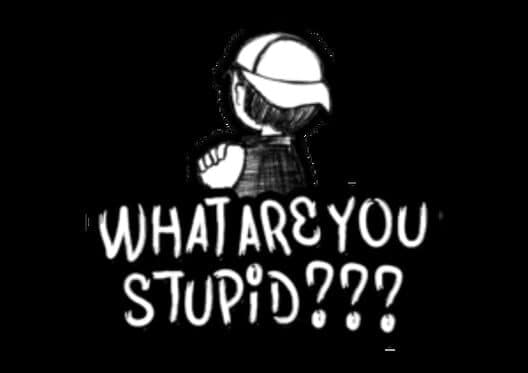 Обложка What Are You Stupid