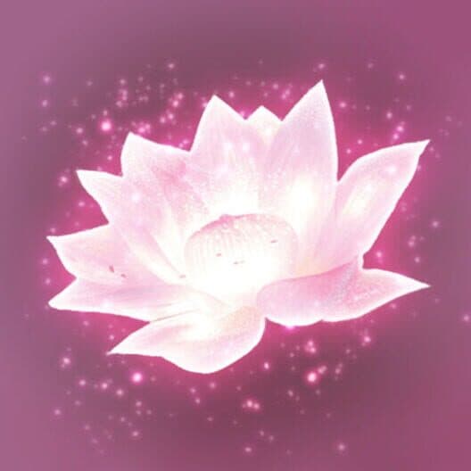 Обложка Lotus Digital
