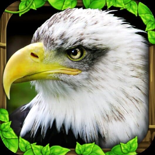 Обложка Eagle Simulator