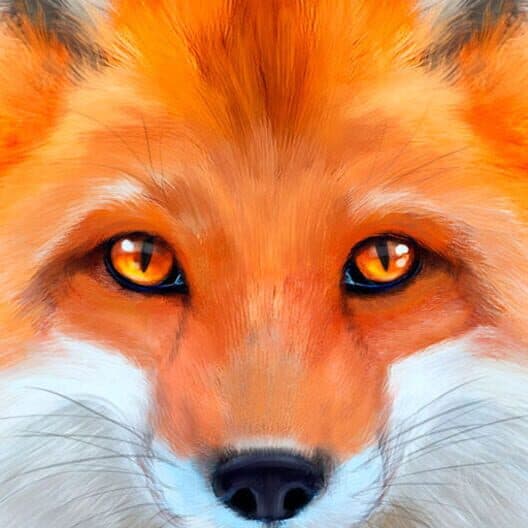 Обложка Ultimate Fox Simulator
