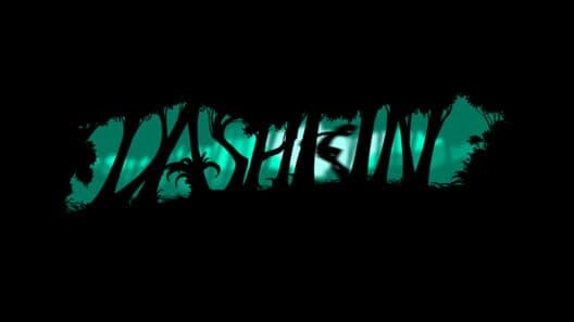 Обложка Dashkin