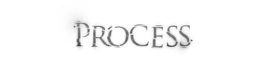 Обложка Process