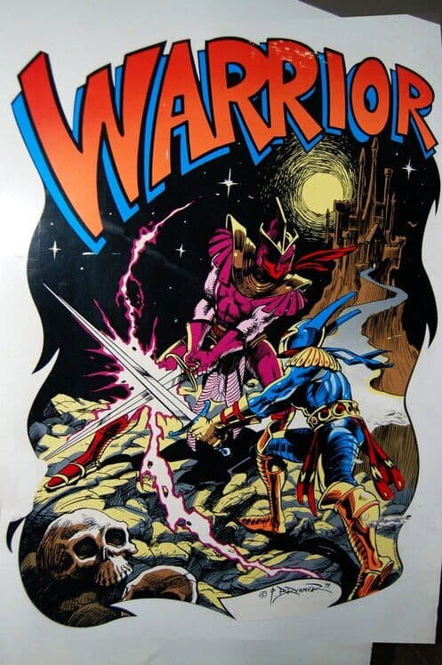 Обложка Warrior