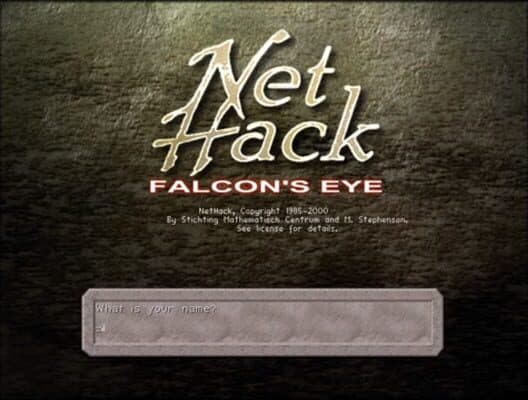 Обложка Nethack: Falcon's Eye