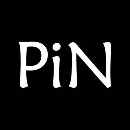 Обложка PiN