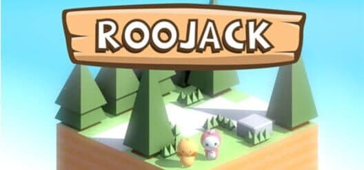 Обложка Roojack