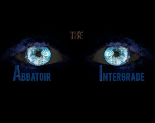 Обложка The Abbattoir Intergrade