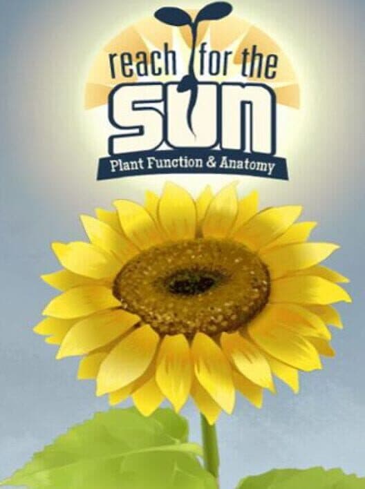 Обложка Reach for the Sun