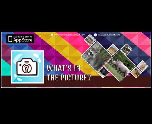 Обложка What's in the Picture: Animals