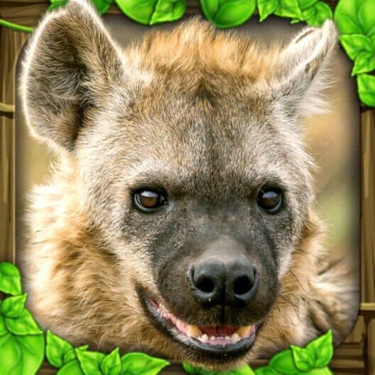 Обложка Hyena Simulator