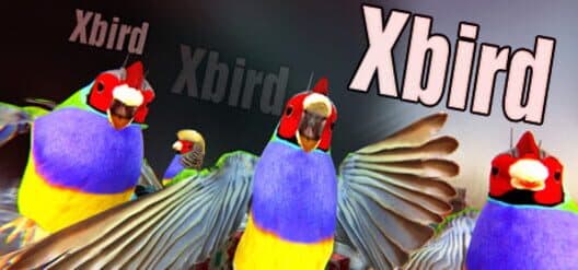 Обложка Xbird
