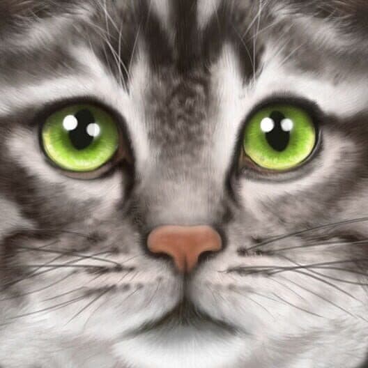 Обложка Ultimate Cat Simulator